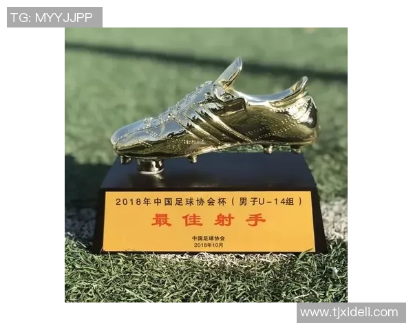 杭州羽毛球队杯赛征程中的拼搏与成长历程全景回顾